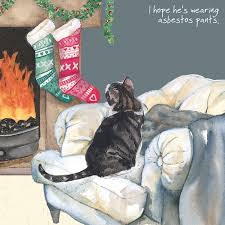 Cat christmas card with love at christmas | etsy. Moggie Cat Christmas Card Asbestos Pants The Little Dog Laughed