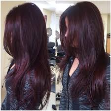 Pin By Amanda Davitt On Hair Hair Color Mahogany Hair Color Plum Hair Styles