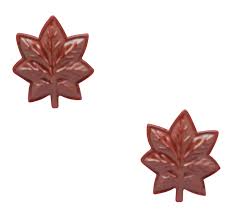 Welcome to our new collection of rustic wall hangings. U S Navy Lieutenant Commander Lcdr Brown Metal Rank Insignia