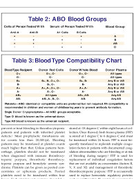 Blood Type Chart 6 Free Templates In Pdf Word Excel Download