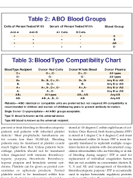 blood type chart 6 free templates in pdf word excel download