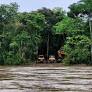 De Napo al mundo: el movimiento climático debe estar con los pueblos indígenas