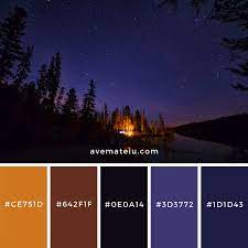 Pine Trees Under Starry Night Sky Color Palette 122 Ave Mateiu Sky Color Flat Color Palette Color Palette