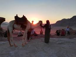 _ (you/ride) a camel last summer? Camel Ride Rainbow Campsite Tours