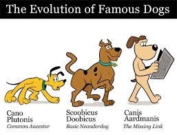 Canine Evolution Chart Collegehumor Post