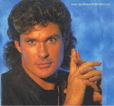 Hawaiian wedding as one of the longest serving cast members. I Like David Hasselhoff Hairstyle Hair Pictures Heartthrob
