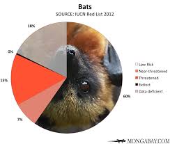 chart endangered bats