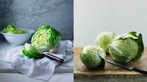 cabbage vs lettuce whats the difference