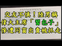 Image result for 習近平 習包子