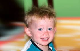 Our Guide, Solace, and Stay