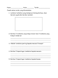 5.0 tumbuhan standard kandungan : Latihan Sains Tumbuhan