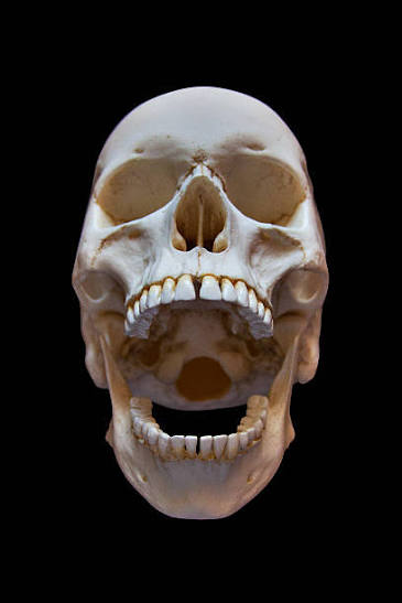 3,800+ Screaming Skull Stock Photos and Royalty-Free Pictures - iStock