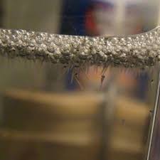 Pin On Fishkeeping Aquarium Planted Tank And Fish