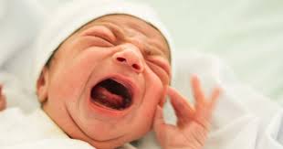 We did not find results for: Mengapa Sebagian Bayi Menangis Tidak Keluar Air Mata Popmama Com