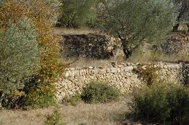 Présentation, infos pratiques et techniques, les vins et l'actualité de domaine de frégate. Dolce Fregate Hotel Die Provence Bei Bandol Zwischen Wein Oliven Und Golf Le Gourmand Das Geniesser Magazin A Connoisseur Blogazinele Gourmand Das Geniesser Magazin A Connoisseur Blogazine