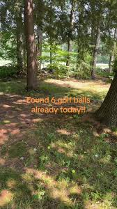 Finding golfballs in the back yard is so much fun, it’s rather like an  Easter egg hunt for golfers.  ##golfing##golfingbadly##lovinglife##golfinggirls##golfer##findinggolfballs##golftrip##sweatygolfing...