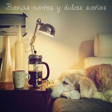 Buenas Noches Y Dulces Suenos Amore Della Mia Vita Buona Notte