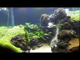 Sediakan tiga botol bekas, sedotan, pisau, lem. Cara Membuat Tebing Air Terjun Paludarium Dan Akuarium