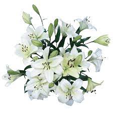 Earliest delivery send wedding bouquets in uae via our amazing delivery services. White Asiatic Lilies Wedding Flowers Globalrose