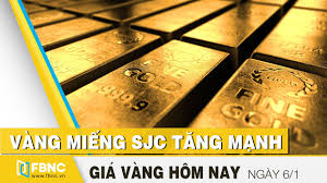 Gia Vang Hom Nay 6 1 Vang Miếng Sjc Tăng Mạnh Fbnc Youtube