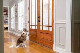 Can You Train A Dog To Stop Barking At House Guests Petsafe