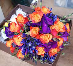 We did not find results for: Not So Hot For Hot Flowers Blue Sky Flowers Orange Wedding Flowers Orange Purple Wedding Purple Wedding Flowers