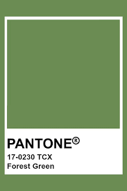 Pantone 17 0230 Tcx Forest Green Pantone Color Pantone Green Pantone Green Colors Color Swatch Green