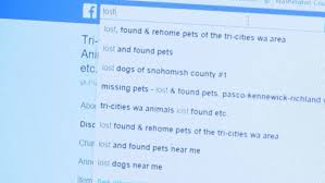 Craigslist provides local classifieds and forums for jobs, housing, for sale, services, local community, and events. Area Shelter Seeing More Missing Pet Reports Than Previous New Years Kepr