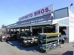 Carpinito Brothers Kent Wa The Best Nursery Kent Farm Fresh Produce Farm Stand
