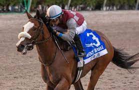 As the storied horse race looks to. Churchill Downs To Honor Kentucky Derby Future Wager Bets