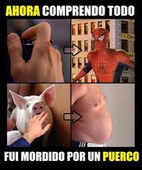 Mordido Por Un Puerco Memes Chistosisimos Memes Graciosos Memes Divertidos