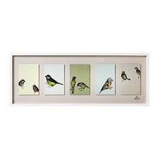 Olunda Picture Flutter Ikea Ikea Pictures Photo Frame Wall Picture Frame Wall