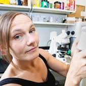 Volcano eruptions in Alaska could cause trans-Atlantic chaos for airlines