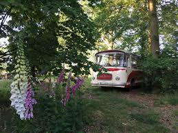 Zauberhafter Oldtimerbus Im Grunen Busse Zur Miete In Lengerich Nrw Deutschland Oldtimer Bus Oldtimer Bus