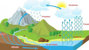 Sesuai dengan namanya, reaksi gelap tidak memerlukan bantuan cahaya sebagai sumber energi. Kunci Jawaban Tema 8 Kelas 5 Sd Halaman 8 10 13 Buku Tematik Manusia Dan Lingkungan Halaman All Tribunnews Com Mobile