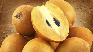 Chiku, chikoo, chiku, chikku, sapeta, chimaiyiluppai, sima ippacettu manilkara zapota, or sapodilla or sapota, is a tree native southern mexico. Sapota Health Benefits Five Reasons To Include Chikoo In Your Diet Times Of India