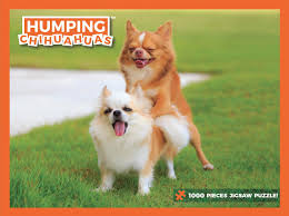 4.3 out of 5 stars 45. Humping Chihuahuas Puzzle Funny Prank Gag Gift For Dog Lovers And Owners 1000 Piece Jigsaw Puzzle Buy Online In Cayman Islands At Cayman Desertcart Com Productid 177944042