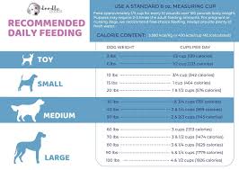 At least 18 hours a day. How Much Should I Feed My Dog Calculator And Feeding Guidelines