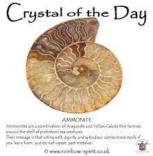 Ammonite Crystal Healing Stones Crystals Healing Properties Meditation Crystals