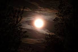 The super blood moon was seen from the pacific ocean, all of australia and new zealand, the western side of north america, and parts of east asia and south america. My Michigan Moon Taken From My Home In Northern Michian On This Night The Moon Was As Close As It Will Be During The Y Moon Glow Moon Images Moon Goddess