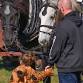 Fall Funfest