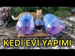 Pet Sise Kullanarak Kediler Icin Pratik Mama Kabi Yapimi Youtube
