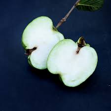 We did not find results for: Seedless Guava Apple Guava Ch Fruit Tree Nursery