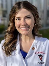 2022 AVMA/AVMF Scholarships