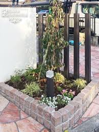花壇 ピンコロ ｔｏｙｏ グルバストーン plants sidewalk