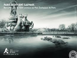 Bold prediction for next week: Parc Zoologique De Paris Paris Becomes Wild Again Opera