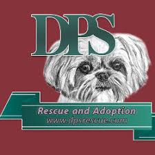 Find pet sitters near palo alto, ca. Doggie Protective Services For Homeless Tails Palo Alto Ca Chewy