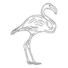 There are six species of flamingo extant on earth: Top 10 Flamingo Coloring Pages For Toddlers