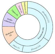 Enzyme Classification Of 73 Potential Drug Targets The Pie