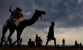 In the same year codycross won the best of 2017 google play store. Camel Joy Rides Stay Unchecked On Visakhatapnam S Rk Beach The Hindu